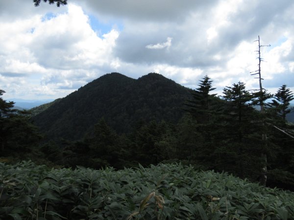 登山道
